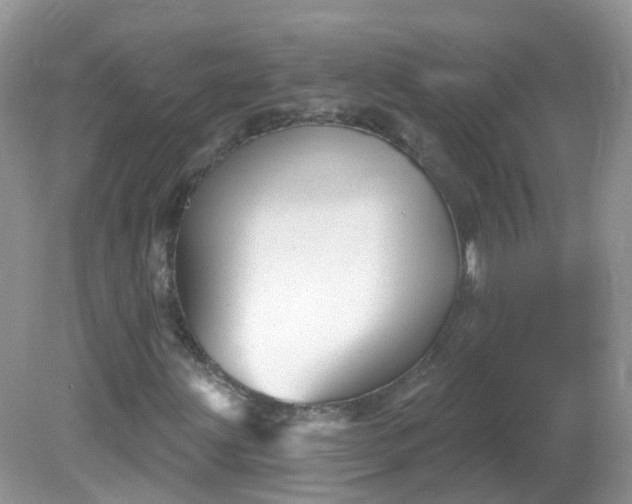 X0000081621203200701291444