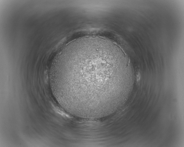 X0000081621204200701291444