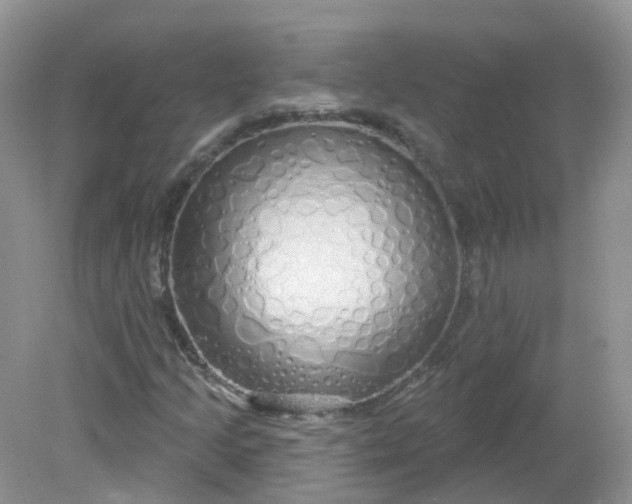 X0000081621205200701291444