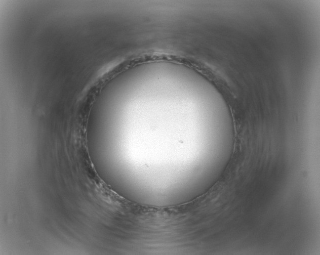 X0000081621207200701291444