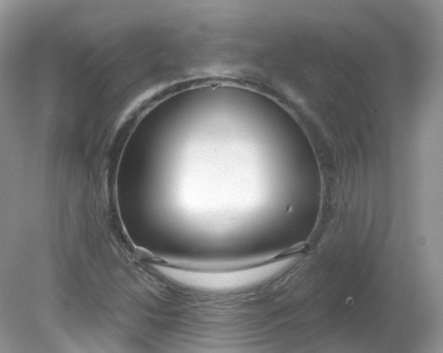 X0000081621214200701291444