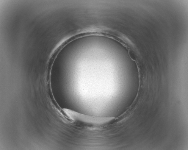 X0000081621216200701291444