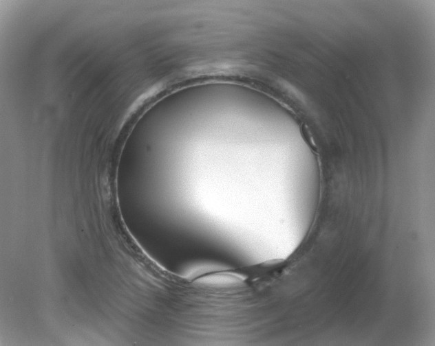 X0000081621218200701291444