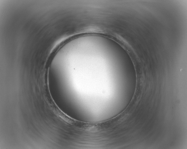 X0000081621222200701291444