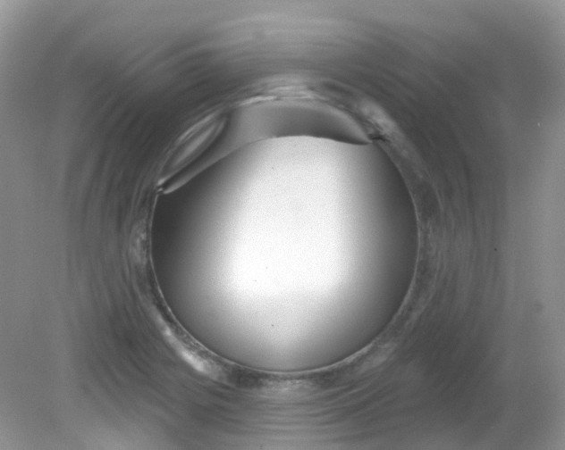 X0000081621225200701291444