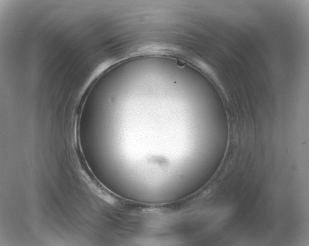 X0000081621227200701291444