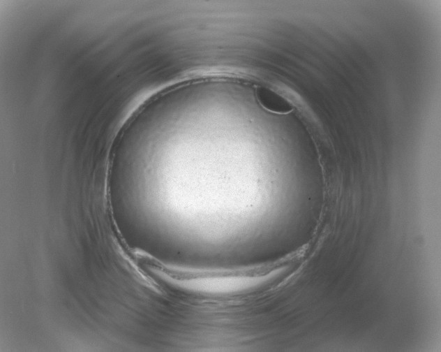 X0000081621228200701291444