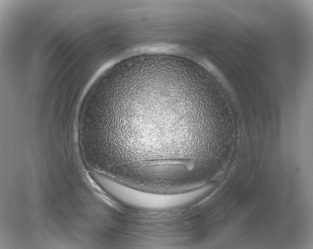 X0000081621232200701291444