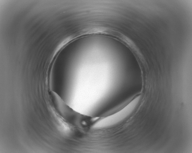 X0000081621234200701291444