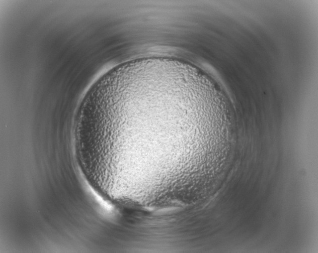 X0000081621235200701291444