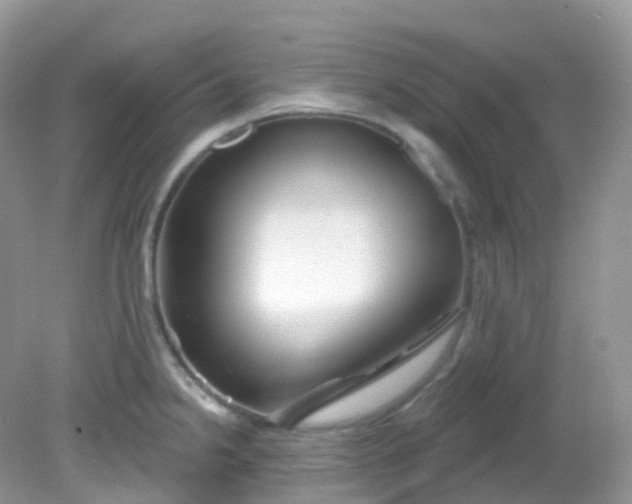 X0000081621238200701291444