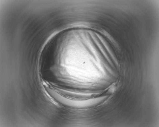 X0000081621240200701291445