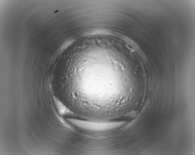 X0000081621241200701291445