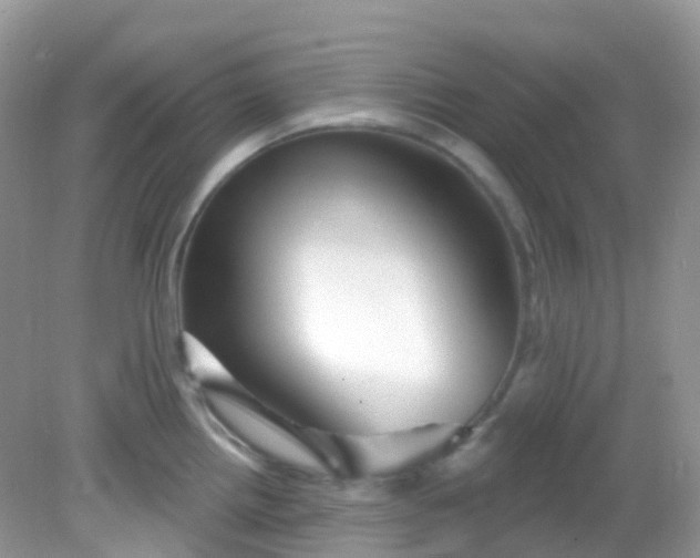 X0000081621242200701291445