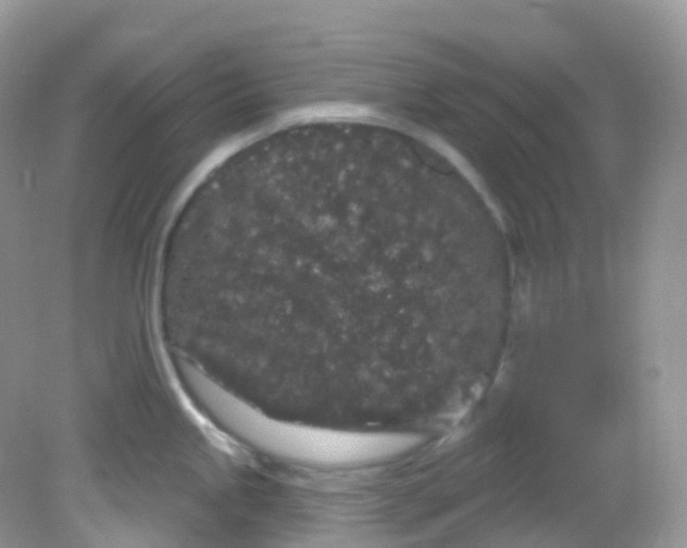 X0000081621245200701291445