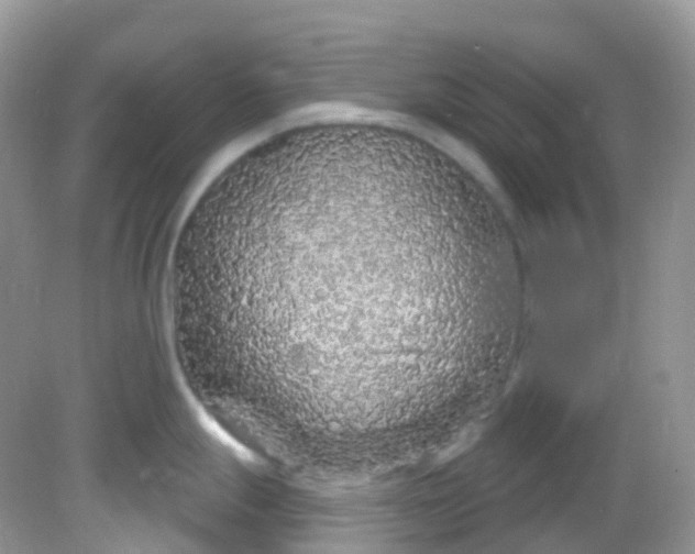 X0000081621247200701291445