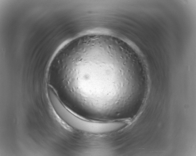 X0000081621248200701291445