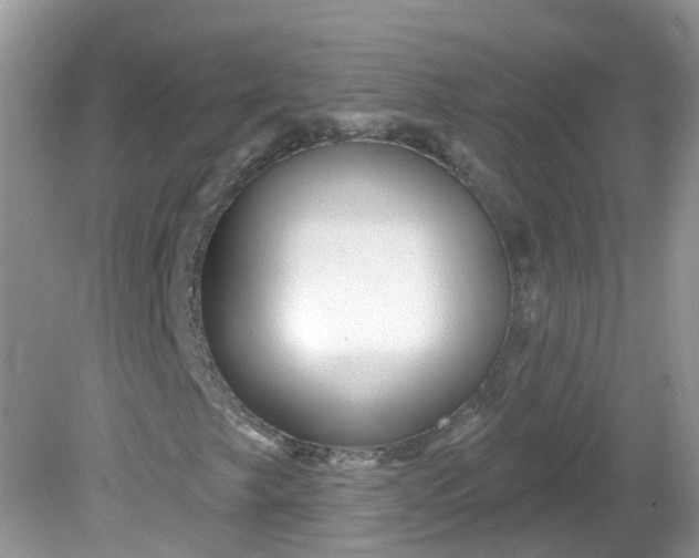 X0000081621249200701291444