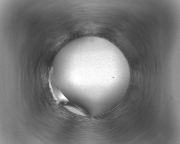 X0000081621250200701291444