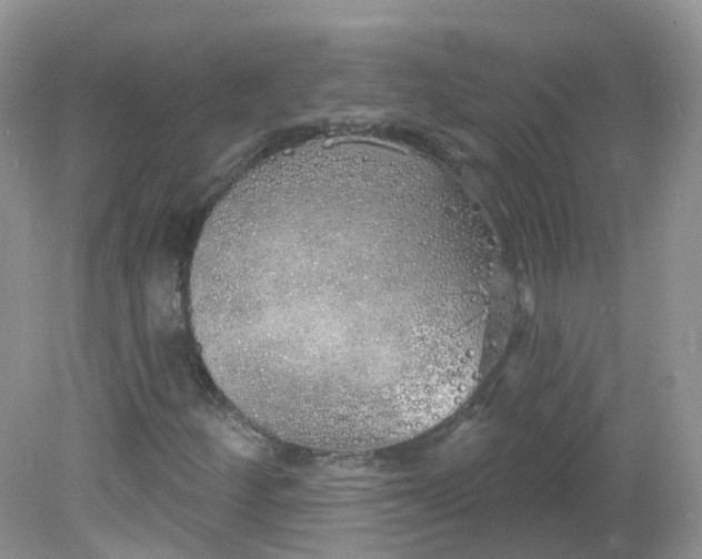 X0000081621252200701291444