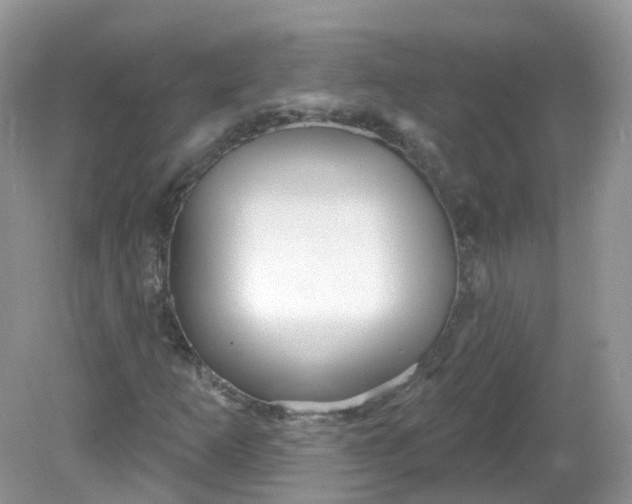 X0000081621253200701291444