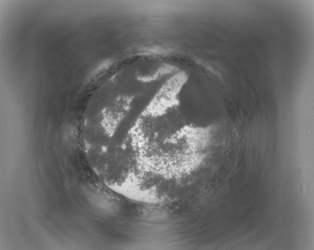 X0000081621254200701291444