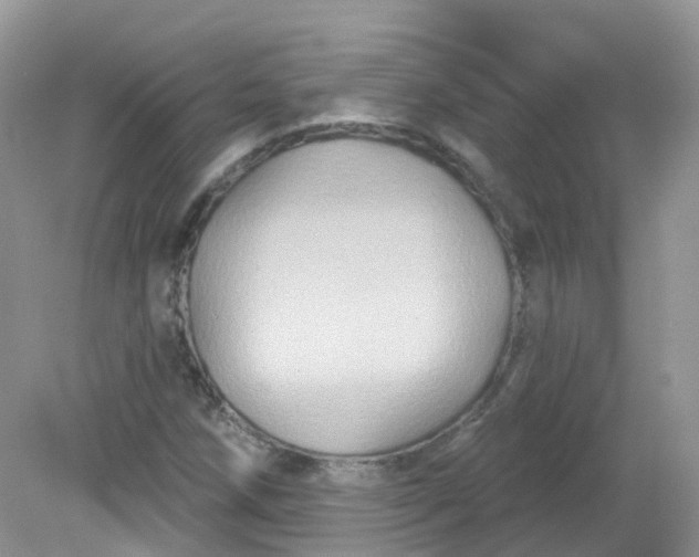 X0000081621258200701291444
