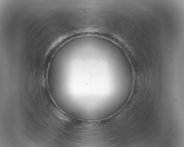 X0000081621262200701291444