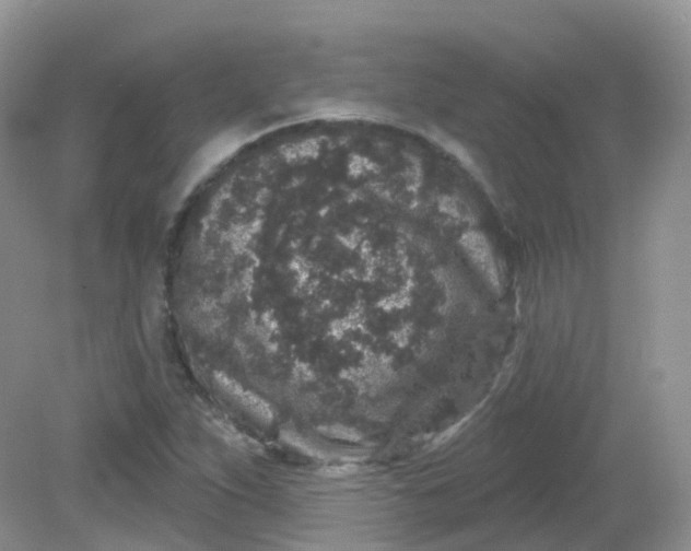 X0000081621263200701291444