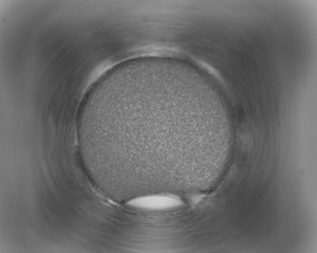 X0000081621267200701291444