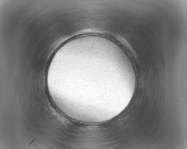 X0000081621268200701291444