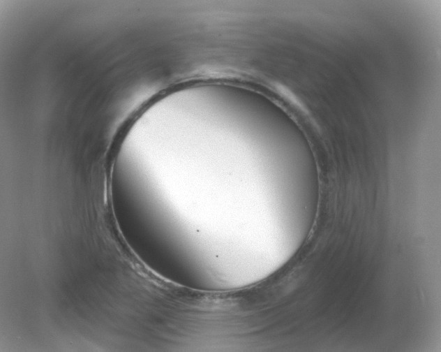 X0000081621269200701291443