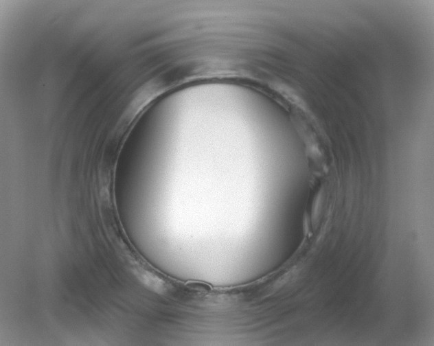 X0000081621273200701291443