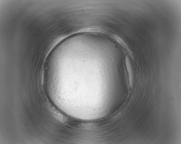 X0000081621276200701291443