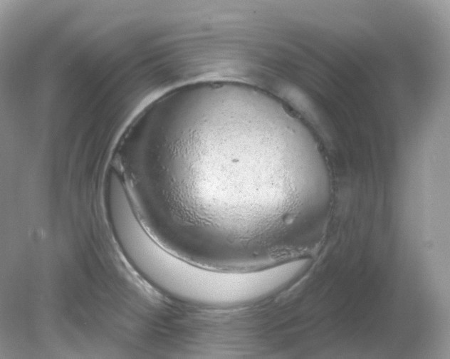 X0000081621284200701291443