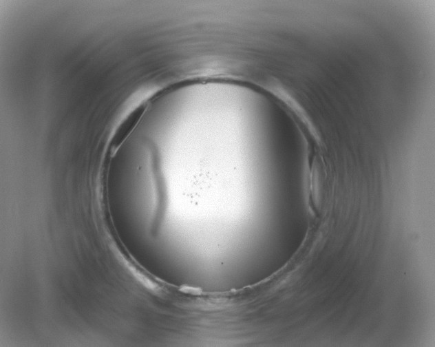 X0000081621285200701291443