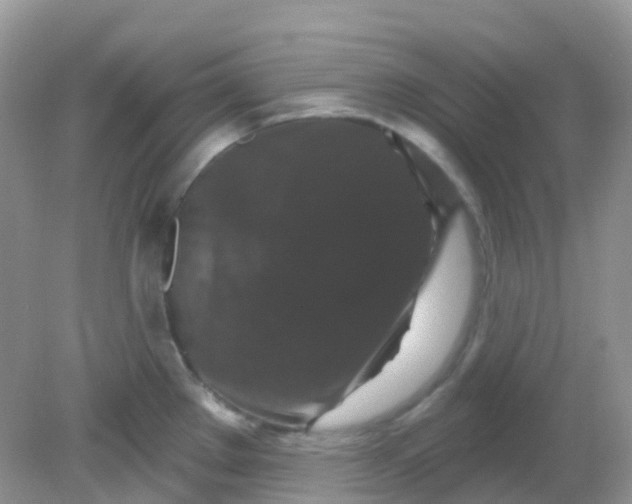X0000081621289200701291443
