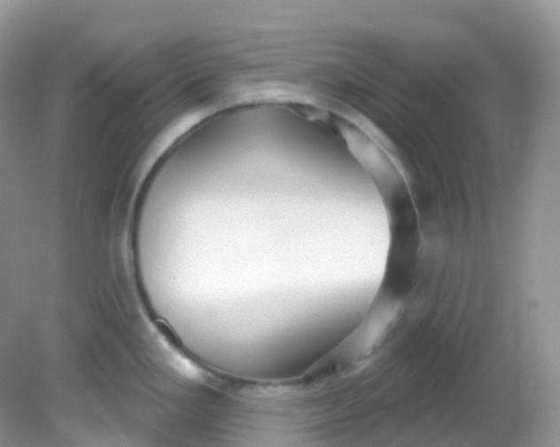 X0000081621293200701291443
