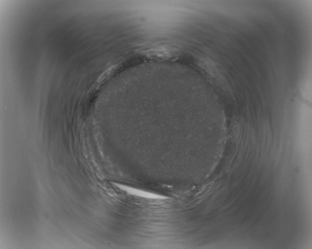 X0000081621297200701291442