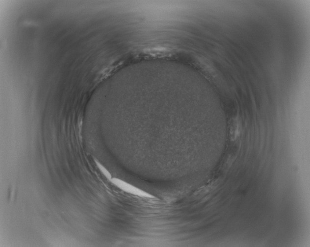 X0000081621298200701291442