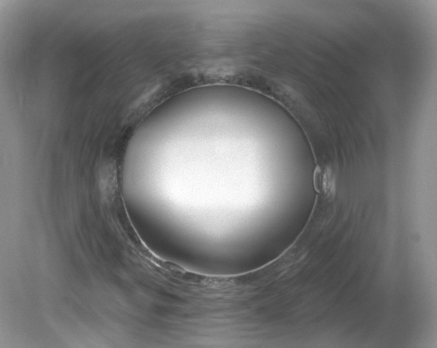 X0000081621299200701291442