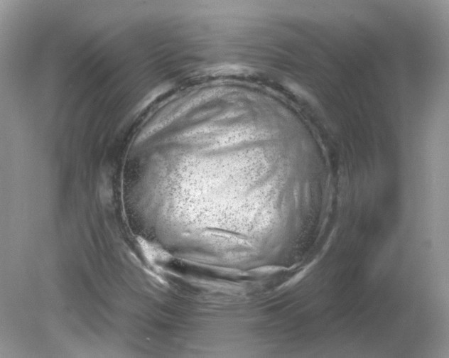 X0000081621305200701291442