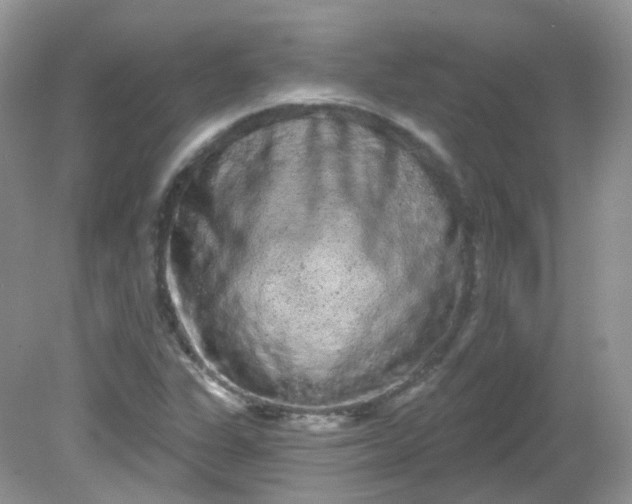 X0000081621311200701291442