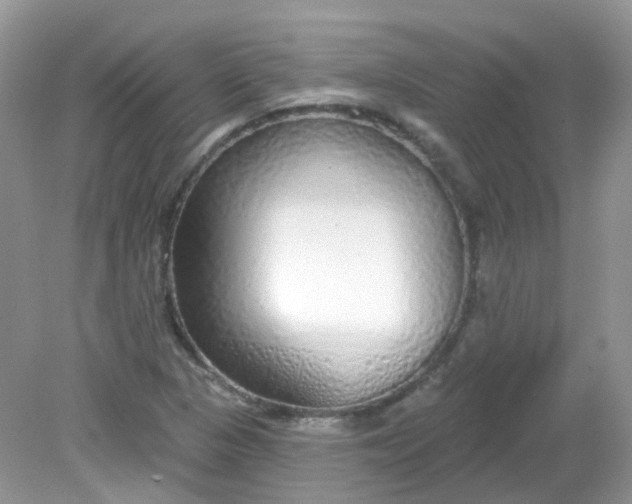 X0000081621313200701291443