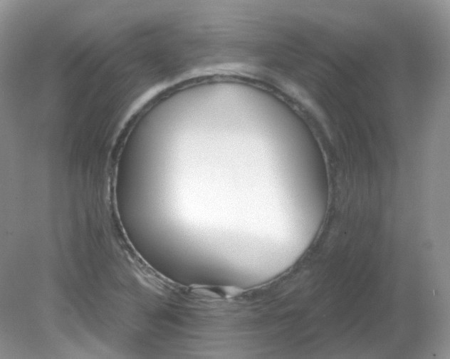 X0000081621316200701291443