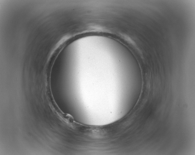X0000081621318200701291443
