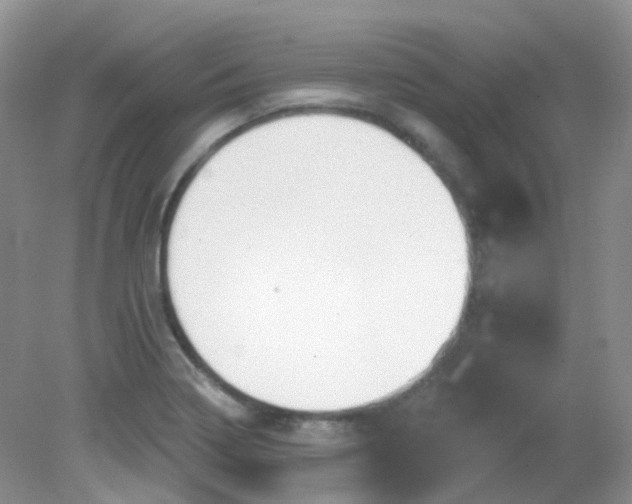 X0000081621322200701291443