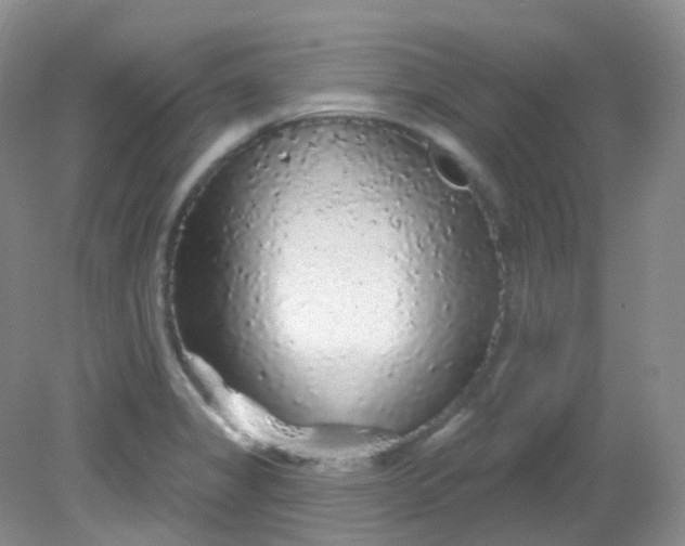 X0000081621325200701291443