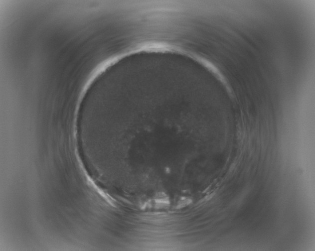 X0000081621327200701291443