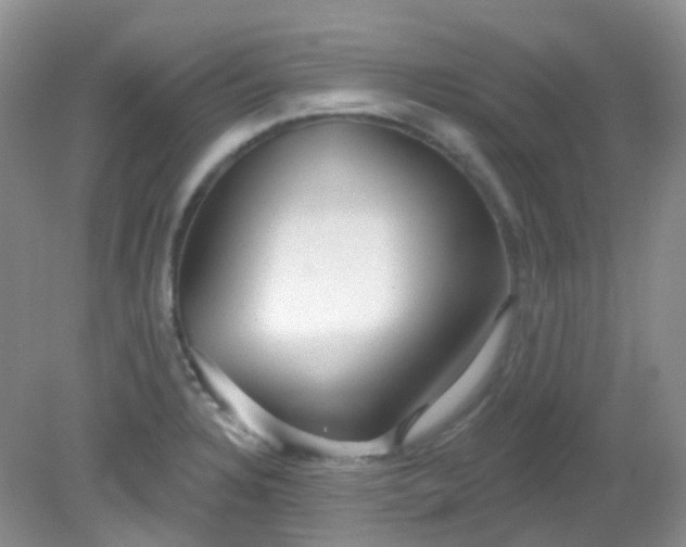 X0000081621328200701291443